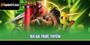 Đá gà trực tuyến